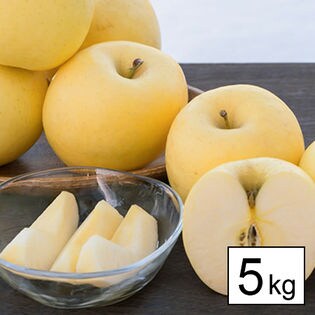 【5kg】[○秀品]山形県天童産りんご 金将ふじ※ご家庭用