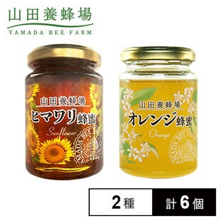 はちみつ2種セット(オレンジ蜂蜜 200g/ヒマワリ蜂蜜 200g)