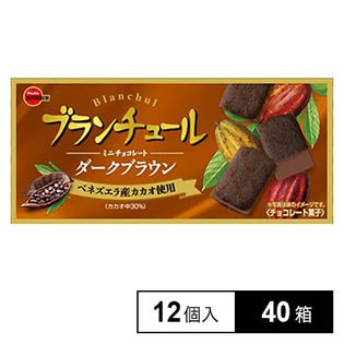 ブルボン ブランチュールミニチョコレートダークブラウン12個