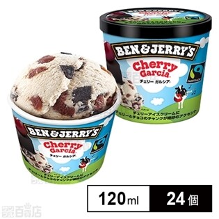 ベン＆ジェリーズ(Ben&Jerry's) チェリーガルシア