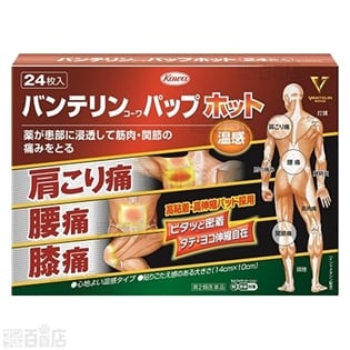 【第2類医薬品】バンテリンパップホット