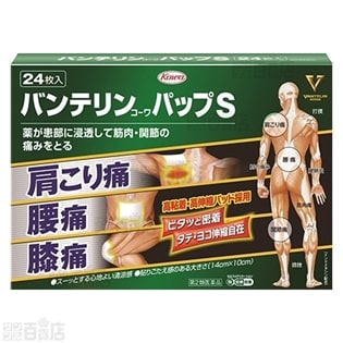 【第2類医薬品】バンテリンパップS