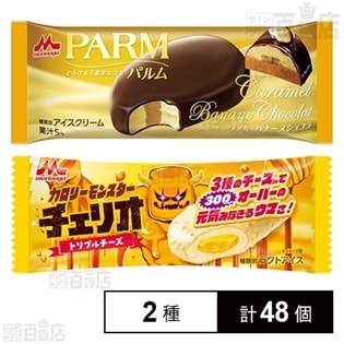 【各24個】森永乳業 アイス 2種セット