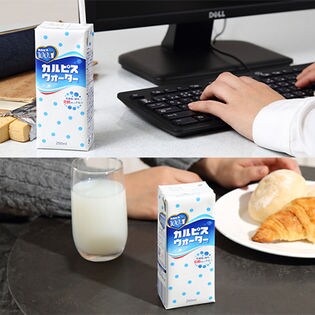 計72本 エルビー カルピス3種 カルピスウォーター オレンジ カルピス ぶどう カルピス 250mlを税込 送料込でお試し サンプル百貨店 株式会社エルビー