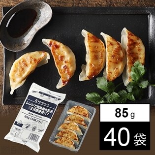 【40袋】レンジで簡単焼き餃子(三元豚使用)17