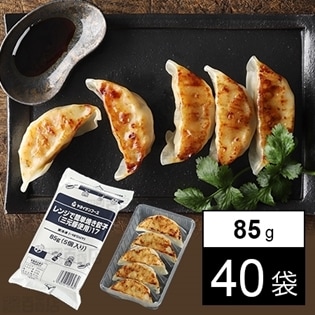 【40袋】レンジで簡単焼き餃子(三元豚使用)17