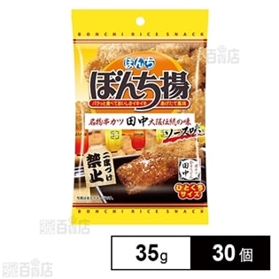 ぼんち揚串カツ田中ソース味 35g