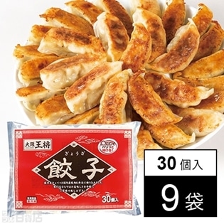 餃子No.10N 510g(30個入り)