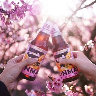 Sunmai ピンクハニービール 350mlを税込 送料込でお試し サンプル百貨店 株式会社エムエスエンタープライズ