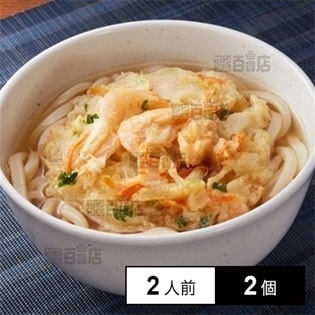 【冷凍】2人前×2個 ミールキット 富山県産白えびかき揚げうどん タイヘイ