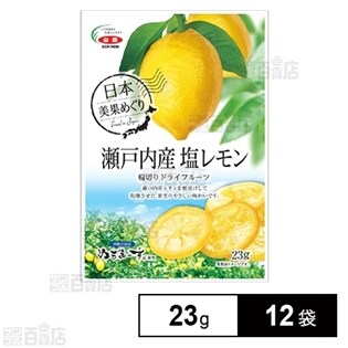 瀬戸内塩レモンドライフルーツ 23g