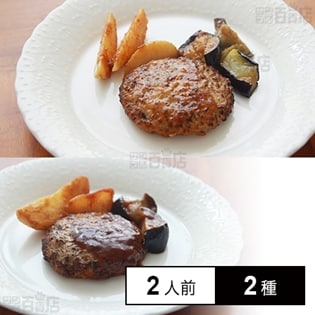 【冷凍】ミールキット 2人前×2種(ハンバーグデミソース、おろしハンバーグ)デリア食品ハンバーグセット(1)