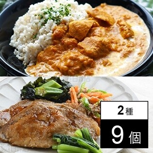 【2種9個】ごろっとお肉の本格バターチキンカレー 220g / やみつきポークジンジャー 220g