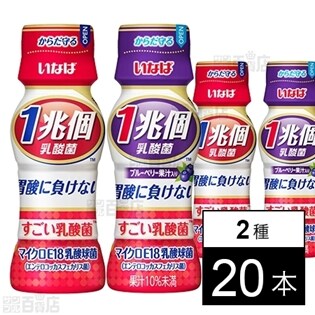 1兆個すごい乳酸菌 プレーン / ブルーベリー