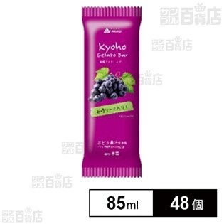 【48個】 巨峰ジェラートバー 85ml