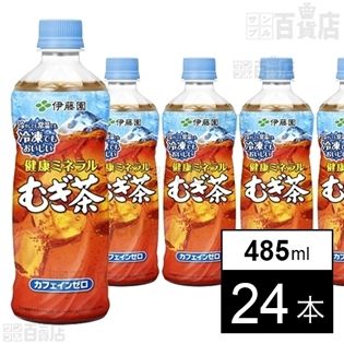 【初回限定】健康ミネラルむぎ茶 冷凍ボトル 485ml