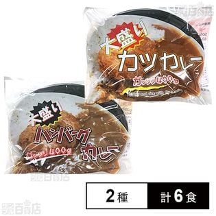 [冷凍]【2種計6食】大盛りカレーセット(ハンバーグカレー/カツカレー)