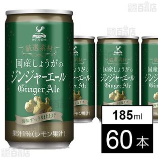 神戸居留地 国産しょうがのジンジャーエール 185ml
