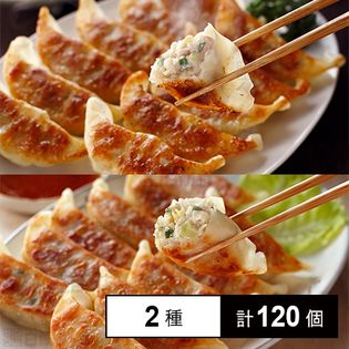 [冷凍]【2種計120個】豚嘻嘻(とんきっき) 宇都宮餃子食べ比べセット(肉餃子90個／野菜餃子30個)