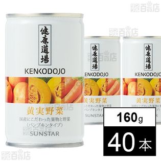 健康道場 黄実野菜 160g