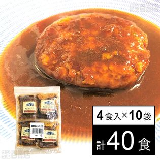 霧島黒豚煮込みハンバーグ(デミグラスソース仕立て) 480g(4食入)