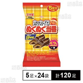 ホッカイロ ぬくぬく当番 くつ用 5足
