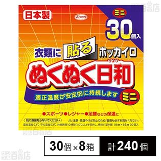 ホッカイロ ぬくぬく日和 貼る ミニ 30個