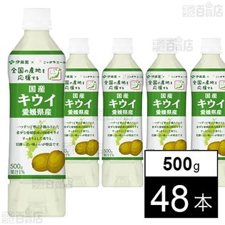 ニッポンエール 愛媛県産キウイ 500g