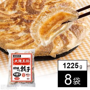 大阪王将 羽根つき餃子No.440E 1225グラム(49個～51個入)