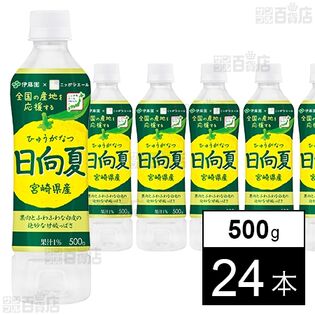 ニッポンエール 宮崎県産日向夏 PET 500g