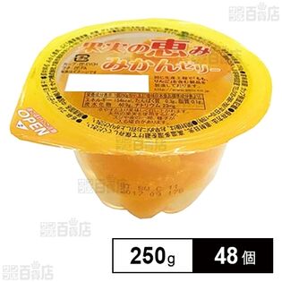 果実の恵み みかん 250g