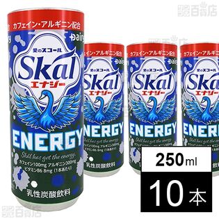 南日本酪農協同 スコールエナジー 250ml×10本