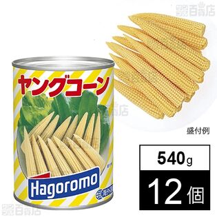 ヤングコーン タイ産 内容総量540g(固形量270g)