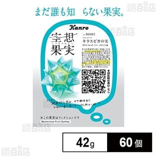 空想果実キラスピカの実 42g