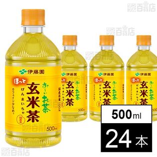 【初回限定】ホット お～いお茶 玄米茶 500ml