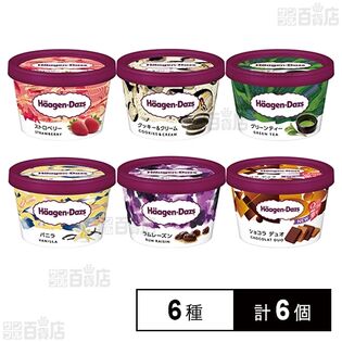 [冷凍]ハーゲンダッツ ミニカップ 6種セット(バニラ/ショコラ/グリーンティ/ストロベリー/ラムレーズン/クッキー＆クリーム 各1個)