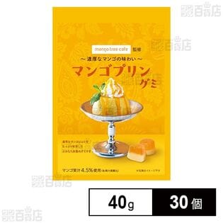 マンゴツリーカフェ監修 マンゴプリングミ 40g