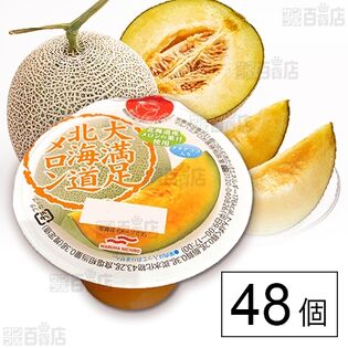大満足北海道メロン 285g