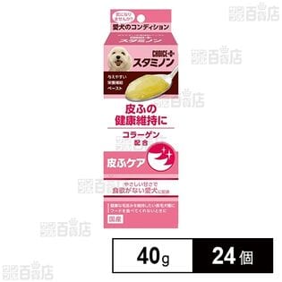 チョイスプラス スタミノン 皮ふケア 40g