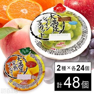 セット1317：ゼリー2種セット