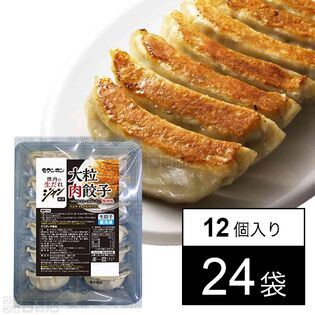 ジャン 焼肉の生だれ 配合 大粒肉餃子 336g(12個入)