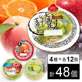 マルハニチロ ゼリー4種セット