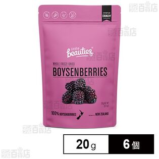 無添加フリーズドライフルーツ ボイセンベリー 20g