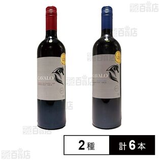 ジルベール＆ガイヤール2024金賞受賞 チリ赤ワイン2種セット