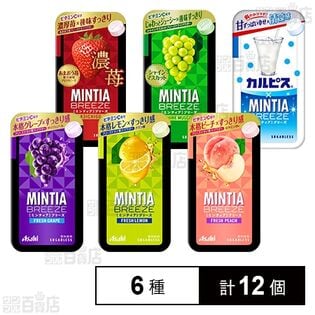 ミンティアブリーズフルーツフレーバー6種セット