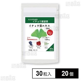 イチョウ葉エキス 30粒入