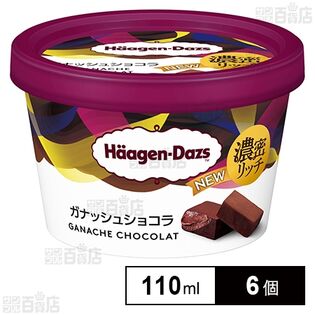 [冷凍]ハーゲンダッツ ミニカップ ガナッシュショコラ 110ml×6個