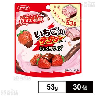 いちごのサンダー ひとくちサイズパウチ 53g