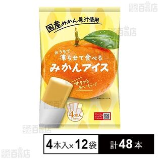 アイス シャーベット 凍らせて食べる みかんアイス 4本入