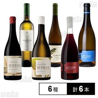厳選ポルトガルワイン飲み比べ 6種セット